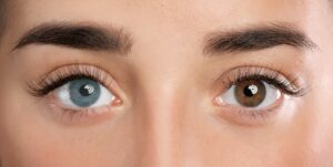 Eyeshadow for hazel eyes | Gold eyeshadow look | Purple tones for green eyes