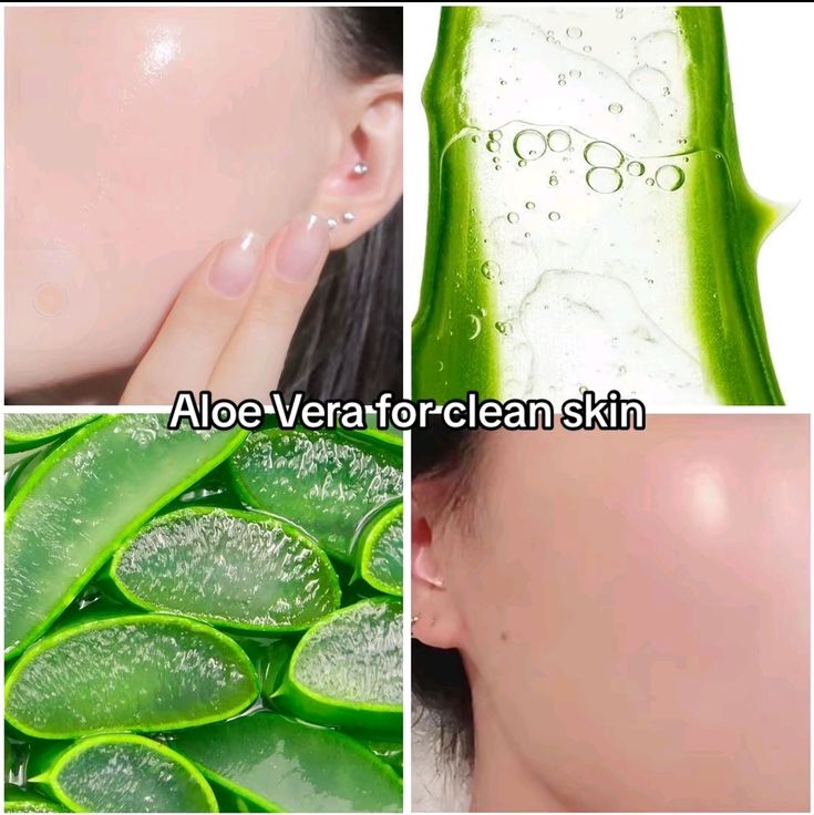 Natural Beauty Secrets from Around the World 3 Use Sheet Veil and Aloe Vera