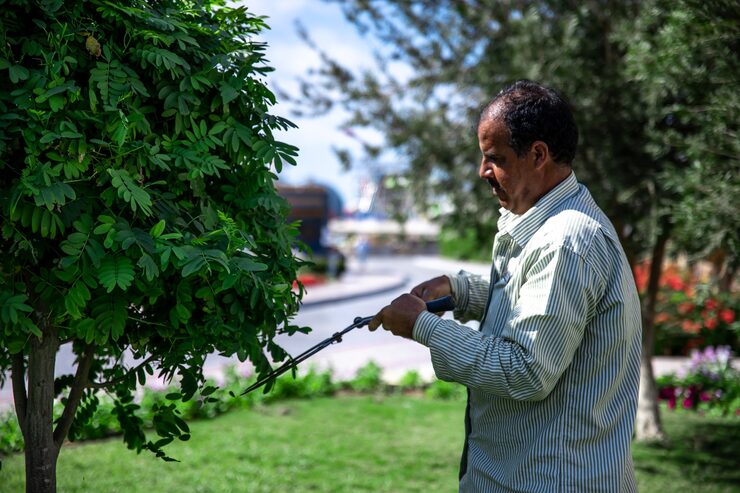 Nim is Neem’s alternative​