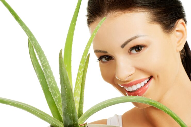 Aloe Care​