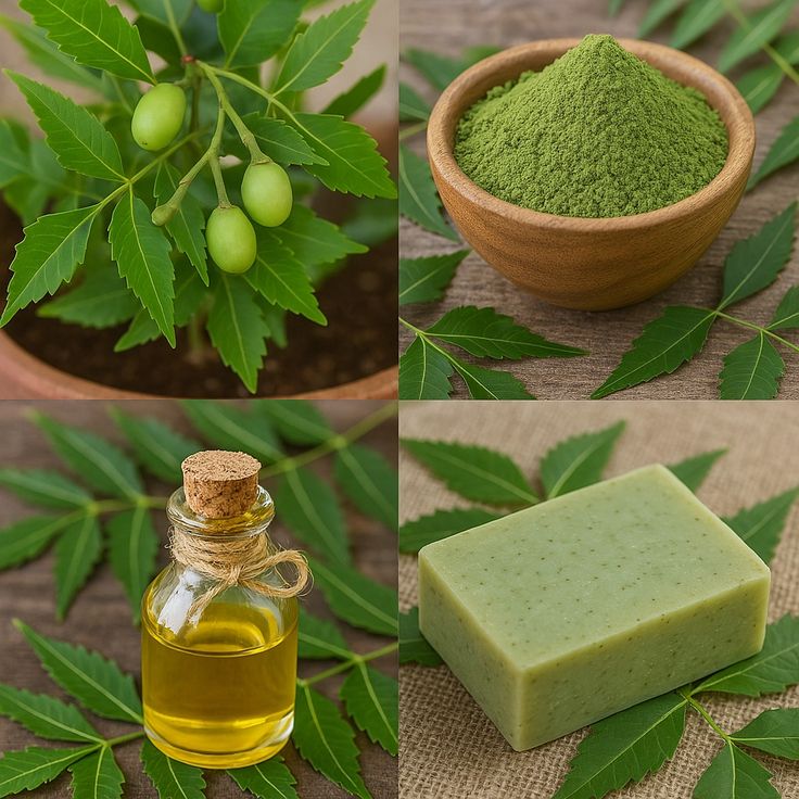 Neem leaf scalp treatment​