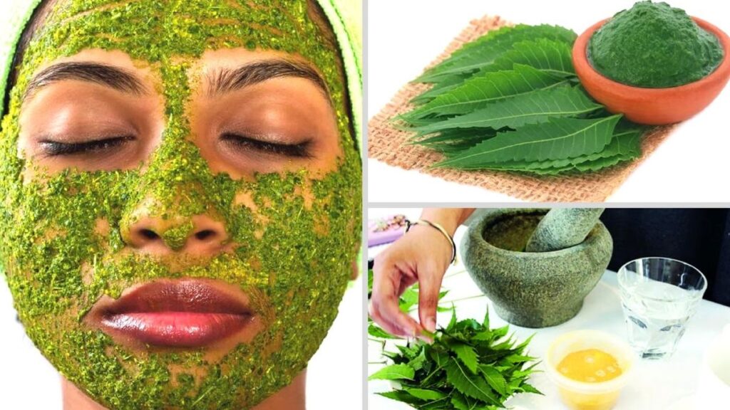 Skin pack of neem leaves​