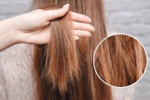 How to repair damaged hair